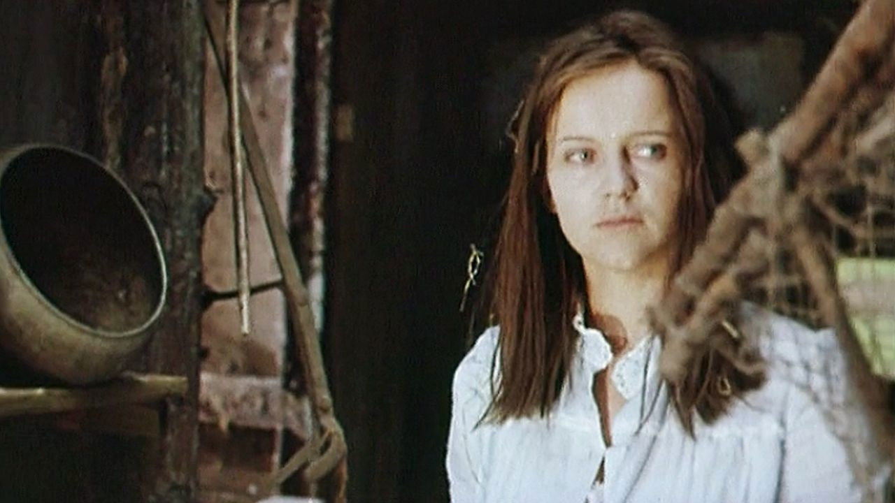 Backdrop for The Guarneri Quartet