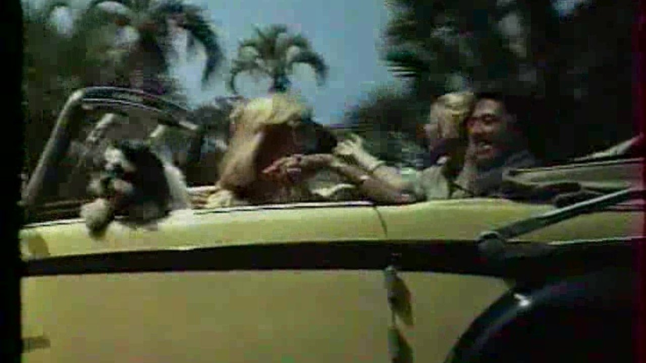 Backdrop for Pilska Julia på bröllopsresa!