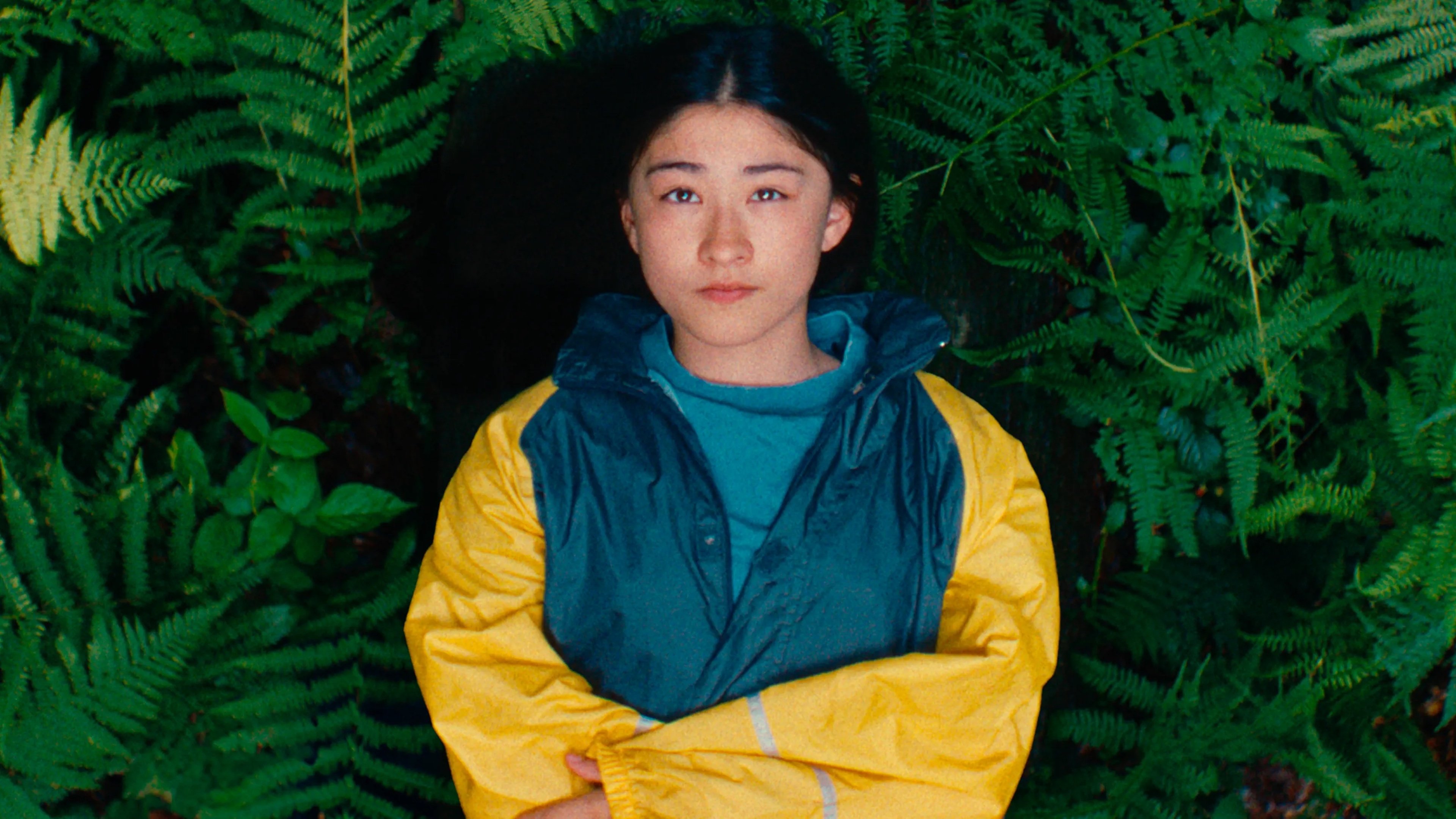 Backdrop for Soft Leaves