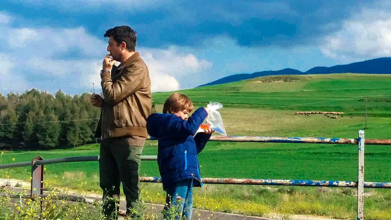 Backdrop for Goldfish