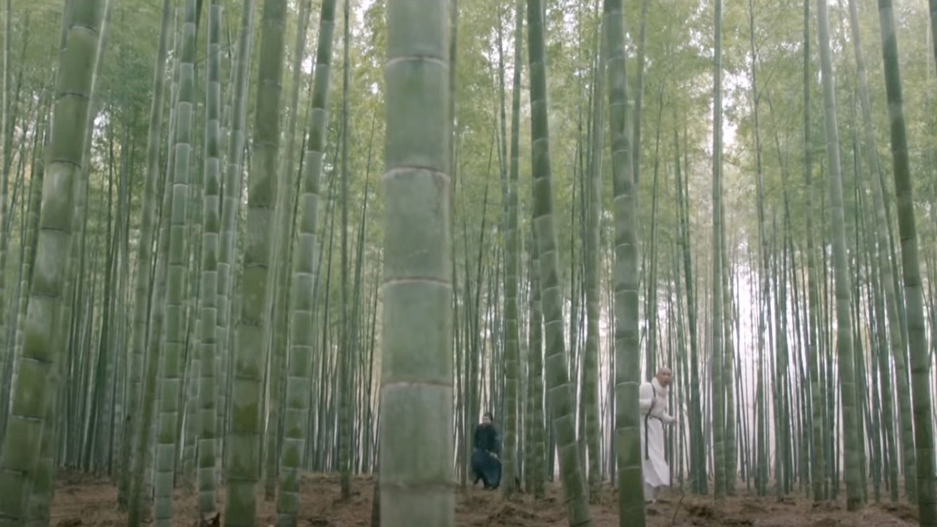 Backdrop for Kungfu Killer