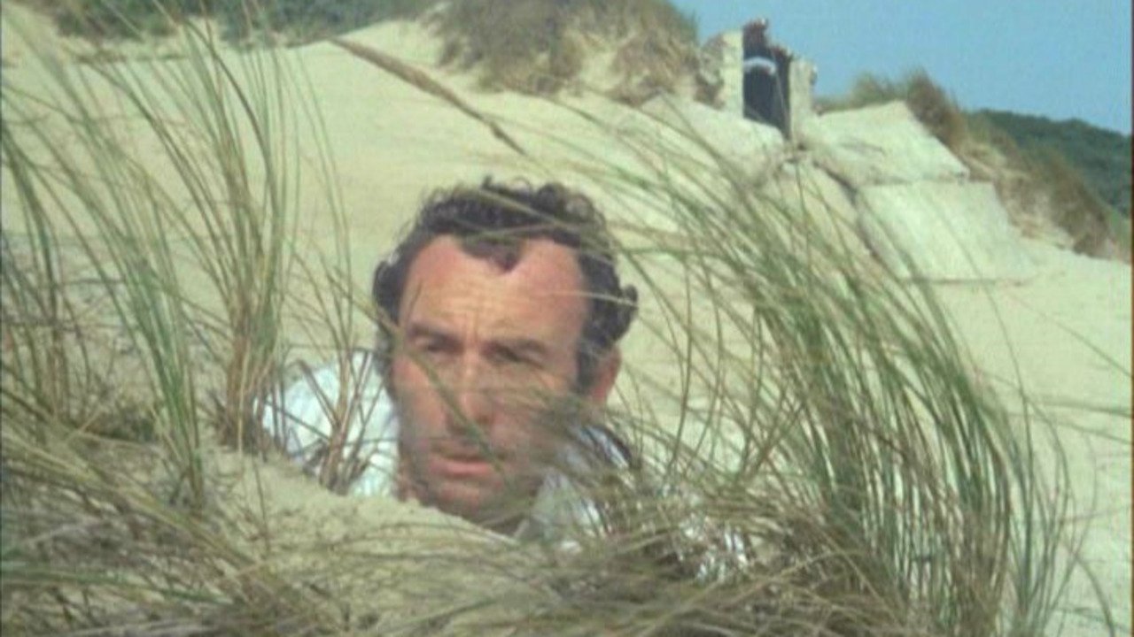 Backdrop for Private Beach