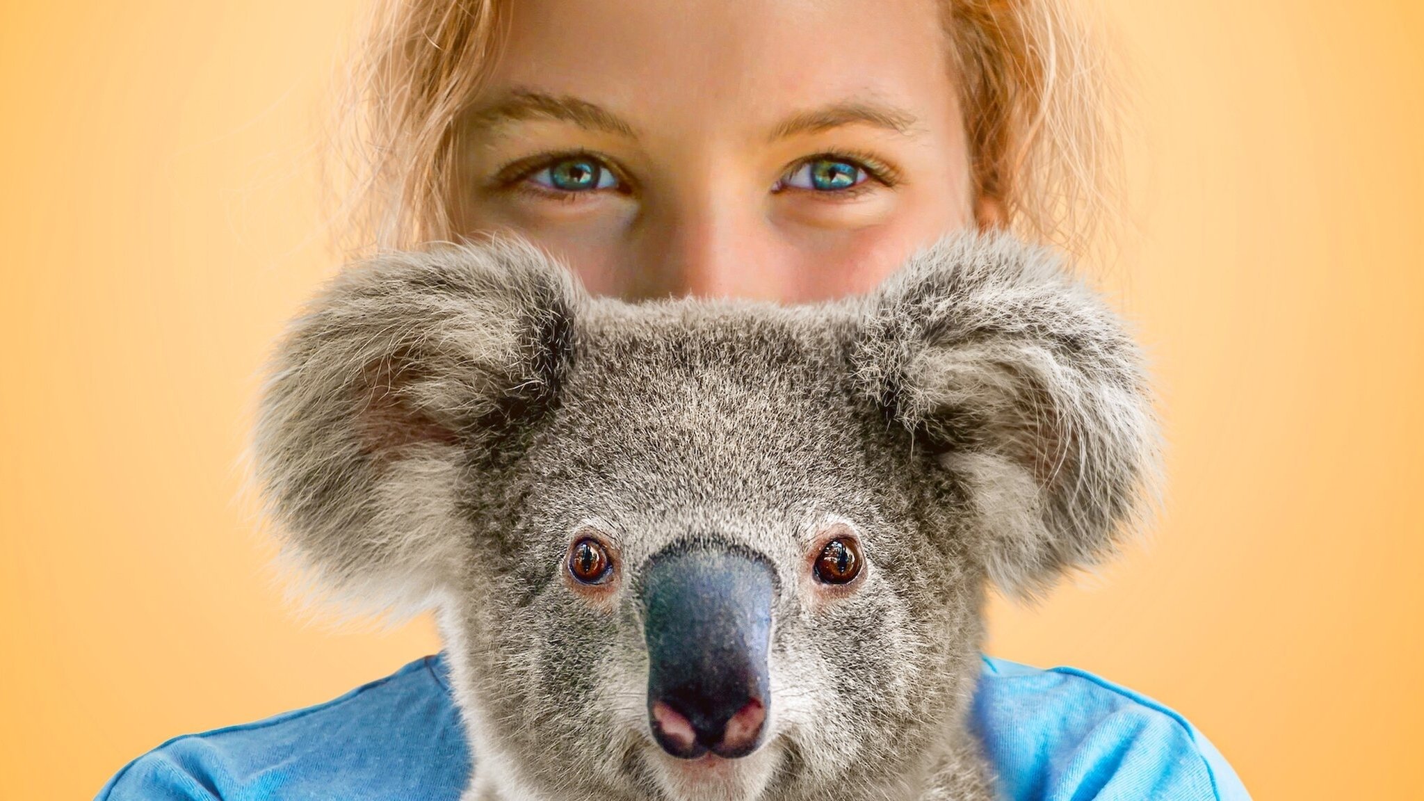 Backdrop for Izzy's Koala World