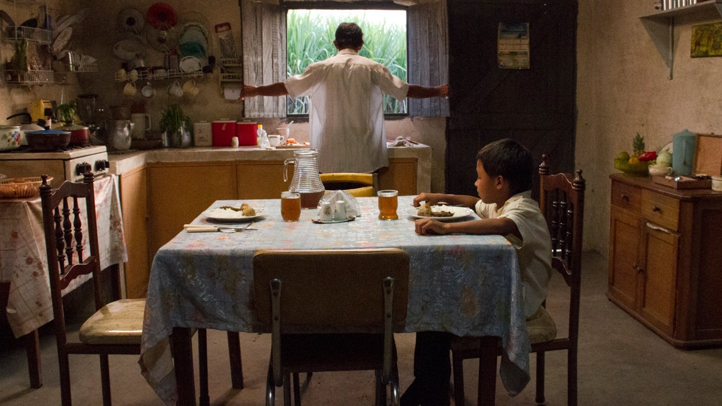 Backdrop for Land and Shade