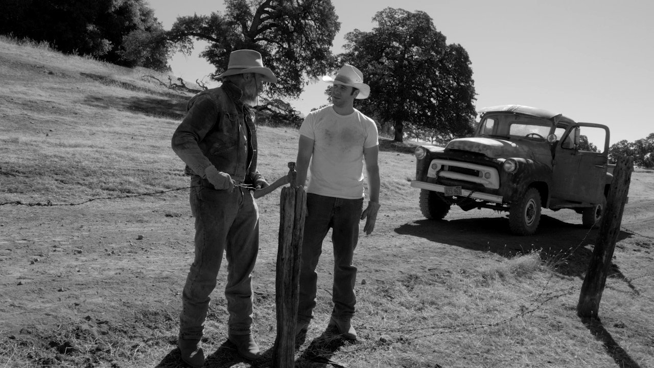 Backdrop for The Divide