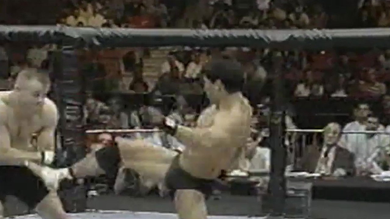 Backdrop for UFC 17: Redemption