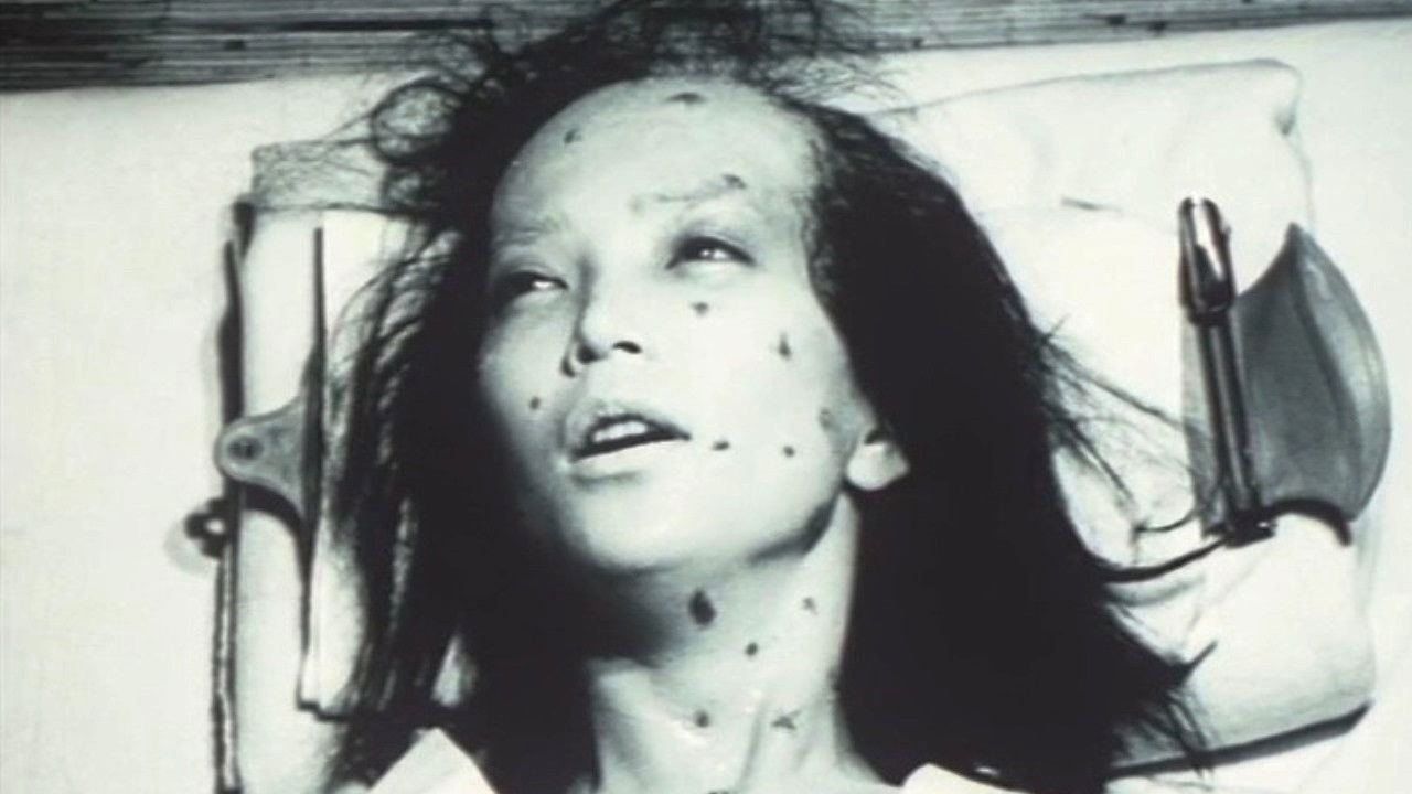 Backdrop for Sakura-tai Chiru