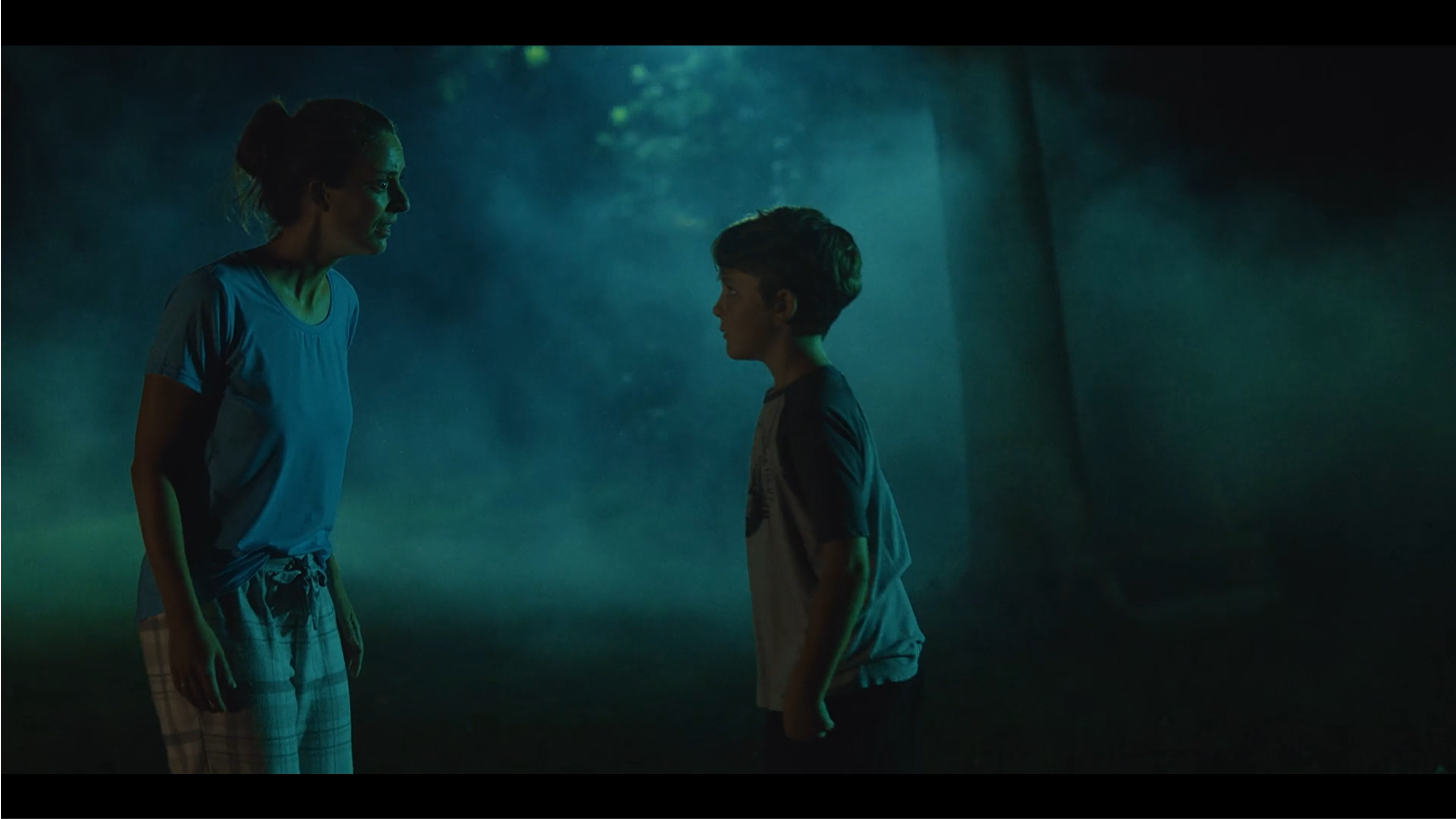 Backdrop for In the Shadows