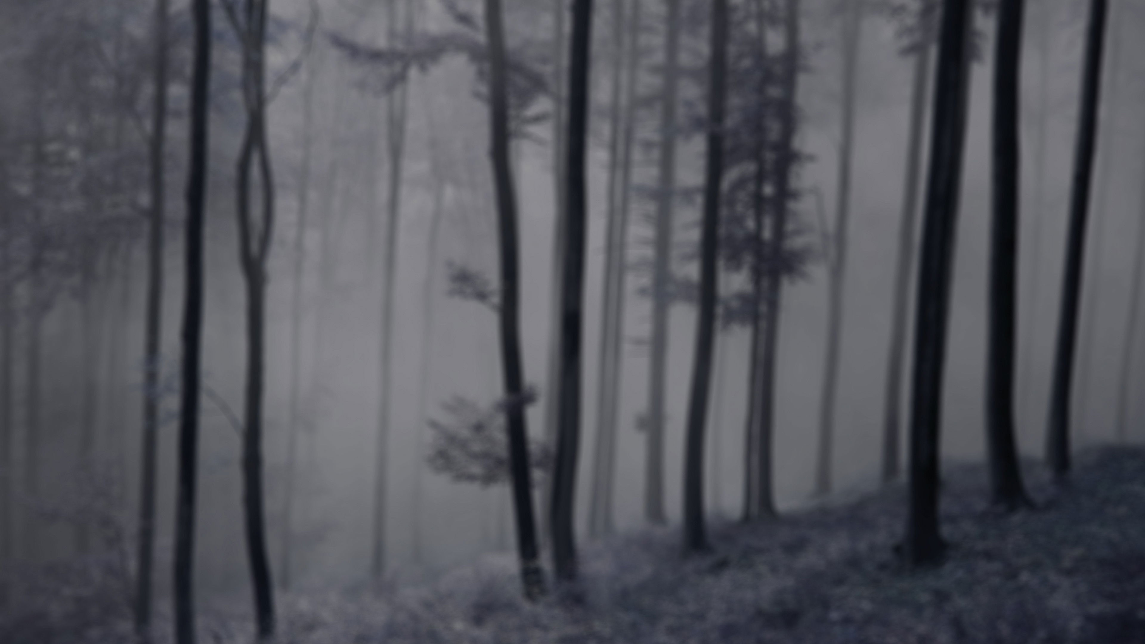 Backdrop for The Legend of King Arthur