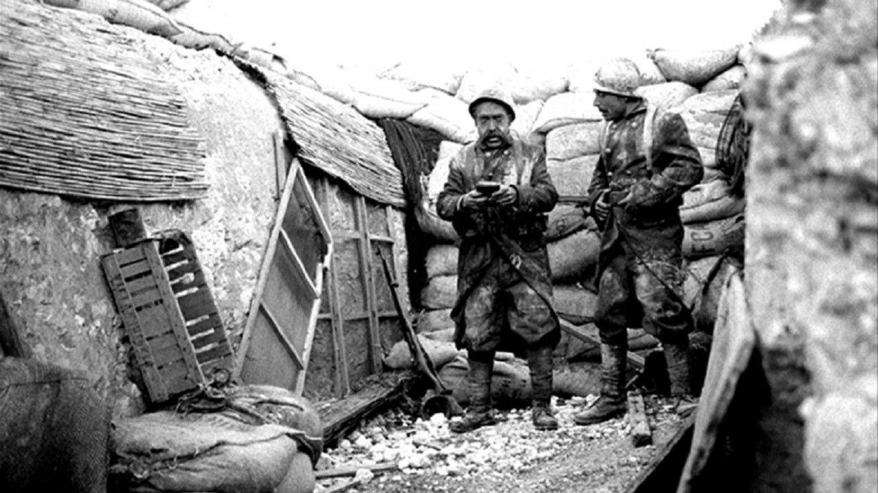 Backdrop for Chat noir