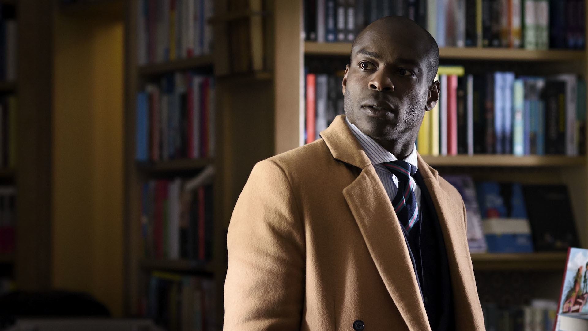 Backdrop for The Return of the Honey Buzzard