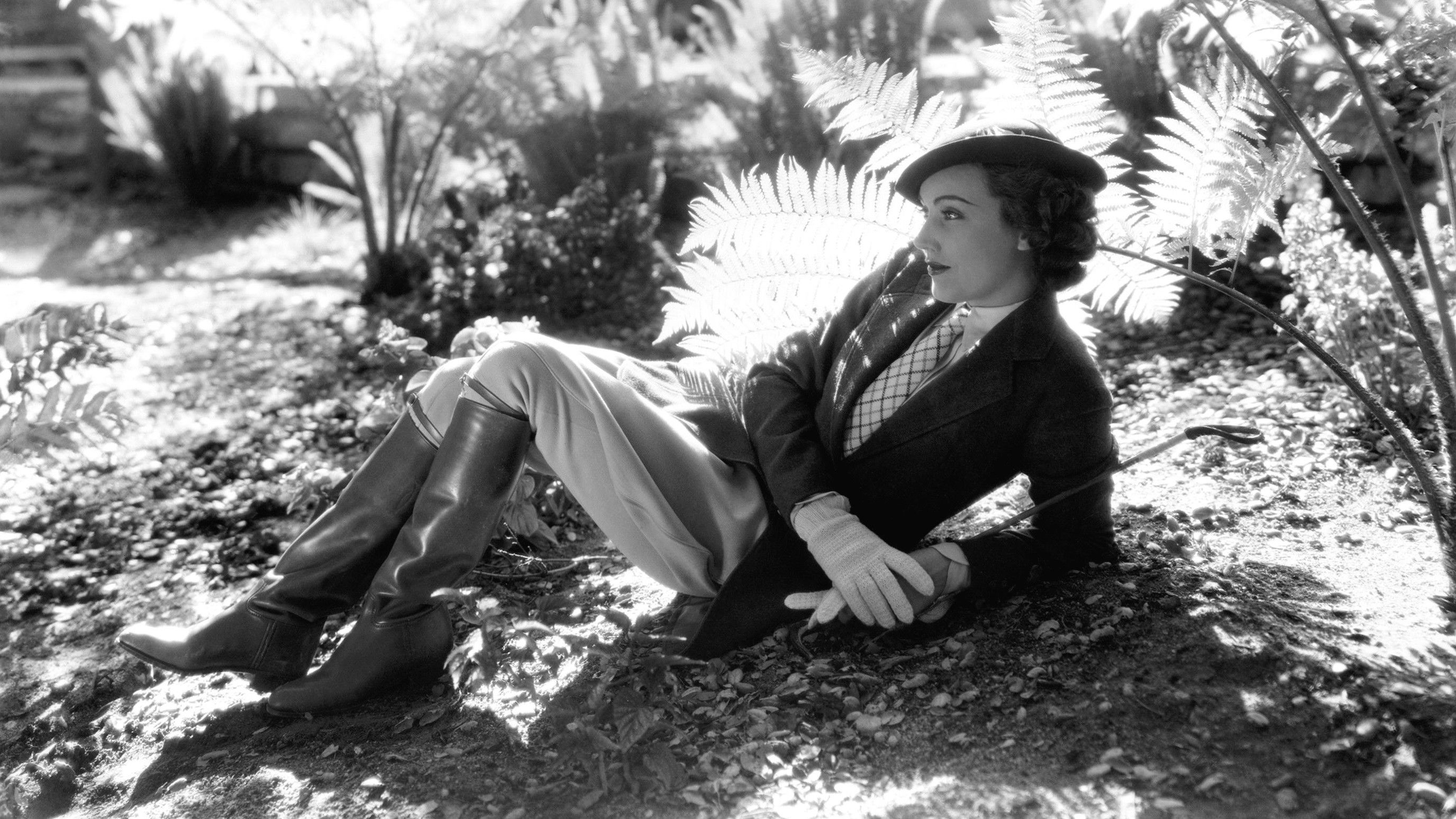 Backdrop for Mills of the Gods