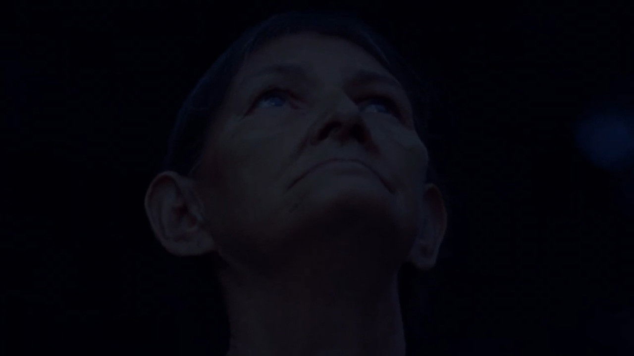 Backdrop for Our Own Shadow