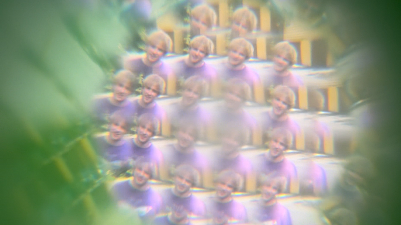 Backdrop for Jelly Bean Review