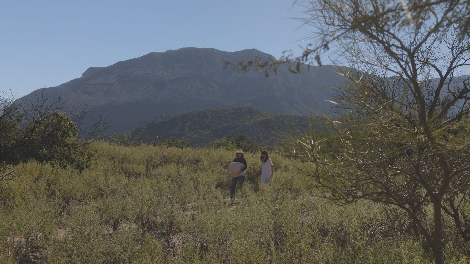 Backdrop for No soy nadie