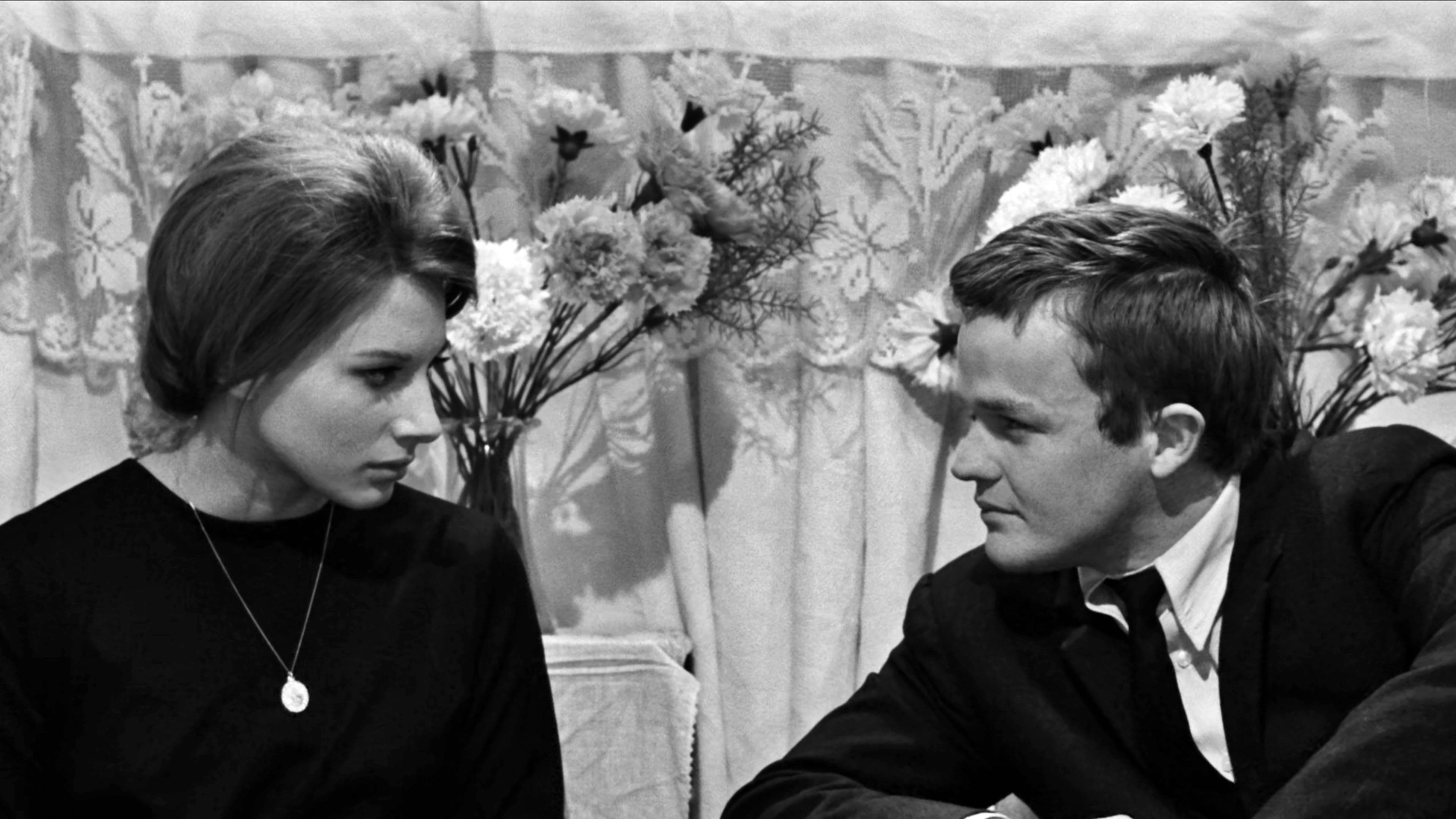 Backdrop for Fists in the Pocket