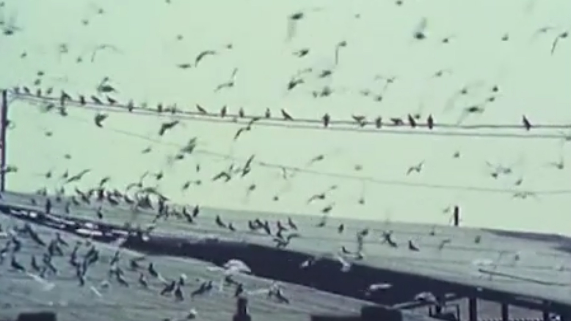 Backdrop for No Names on the Doors