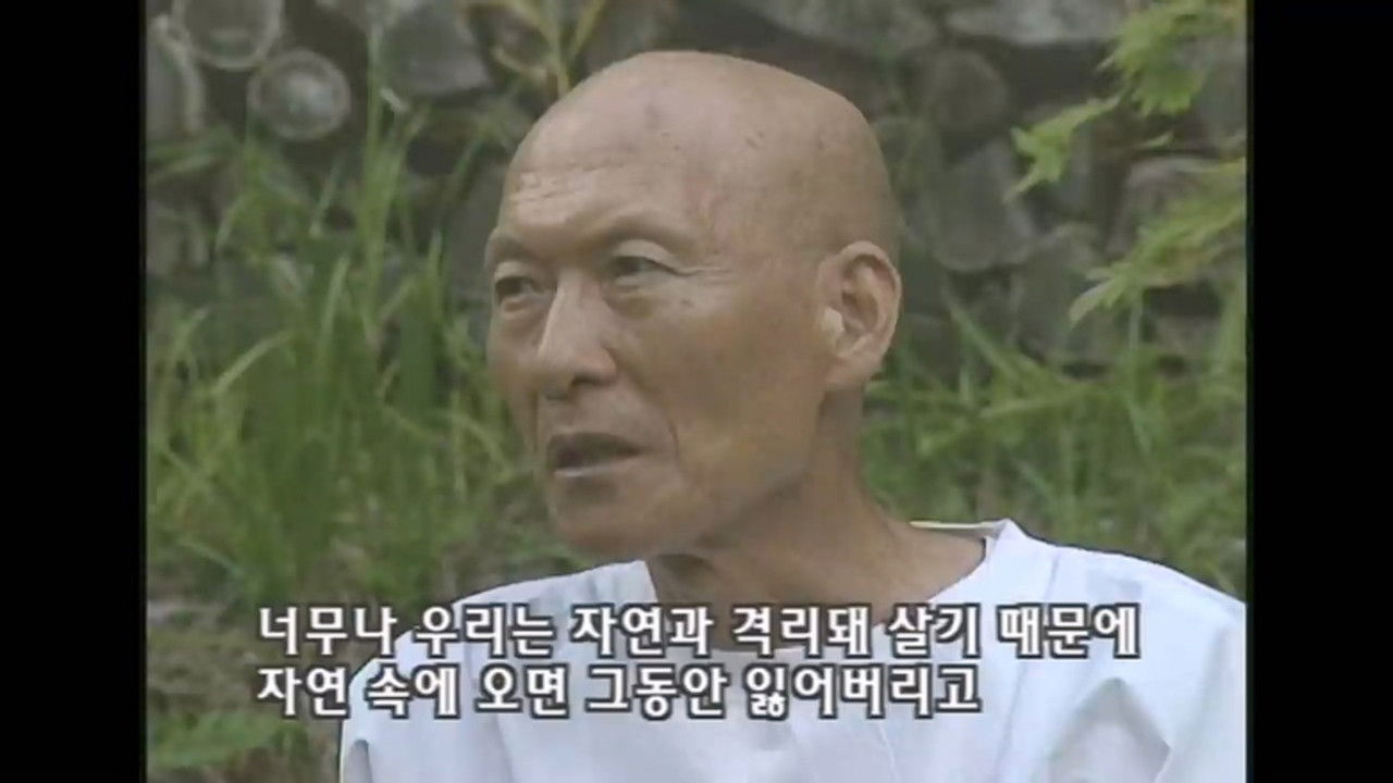Backdrop for Monk Beopjeong, Meet Him in The Mountains