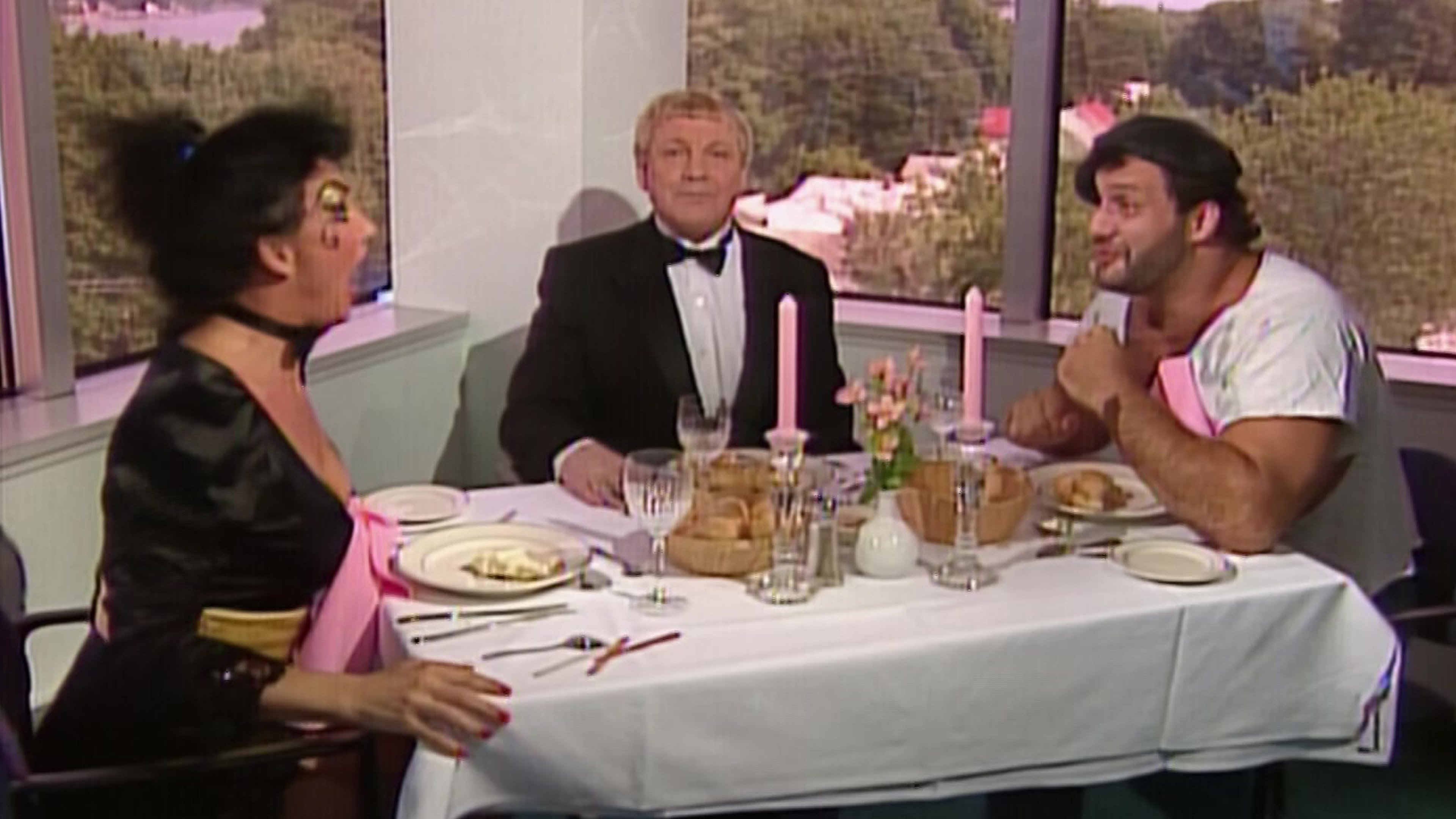 Backdrop for WWE World Tour 1991