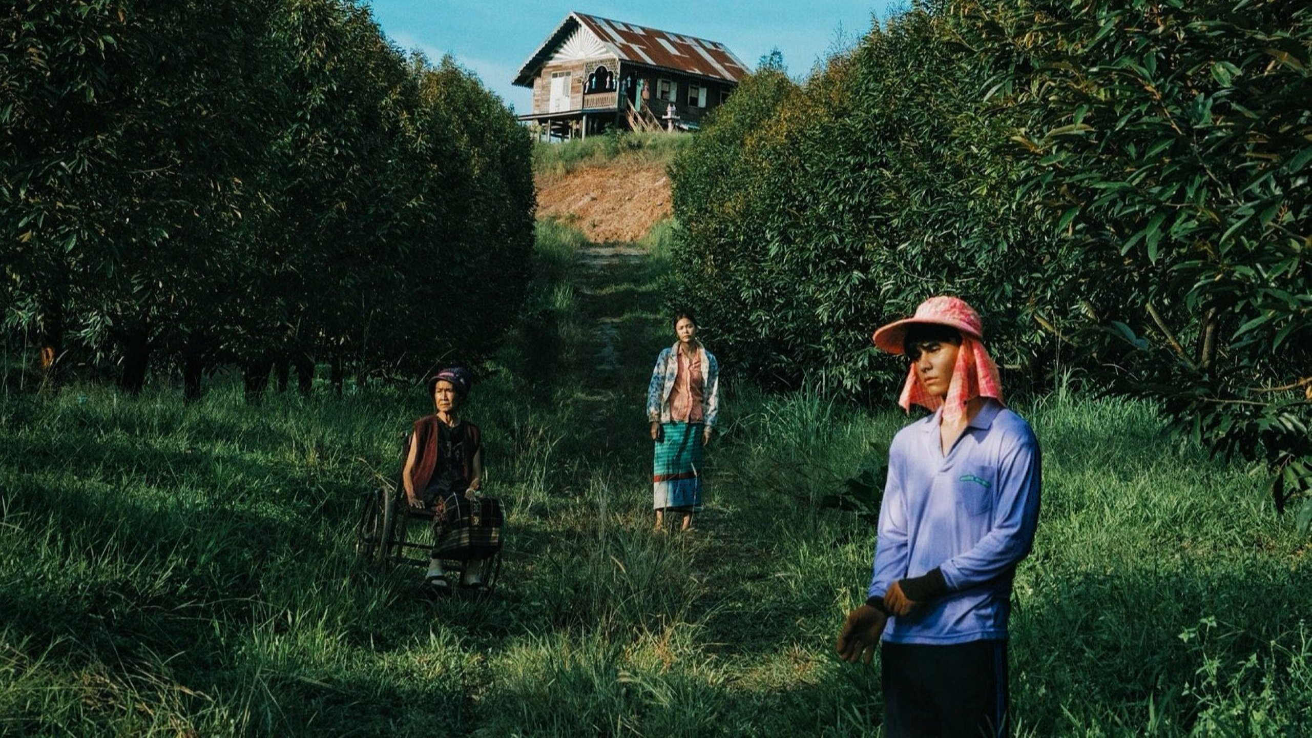 Backdrop for The Paradise of Thorns