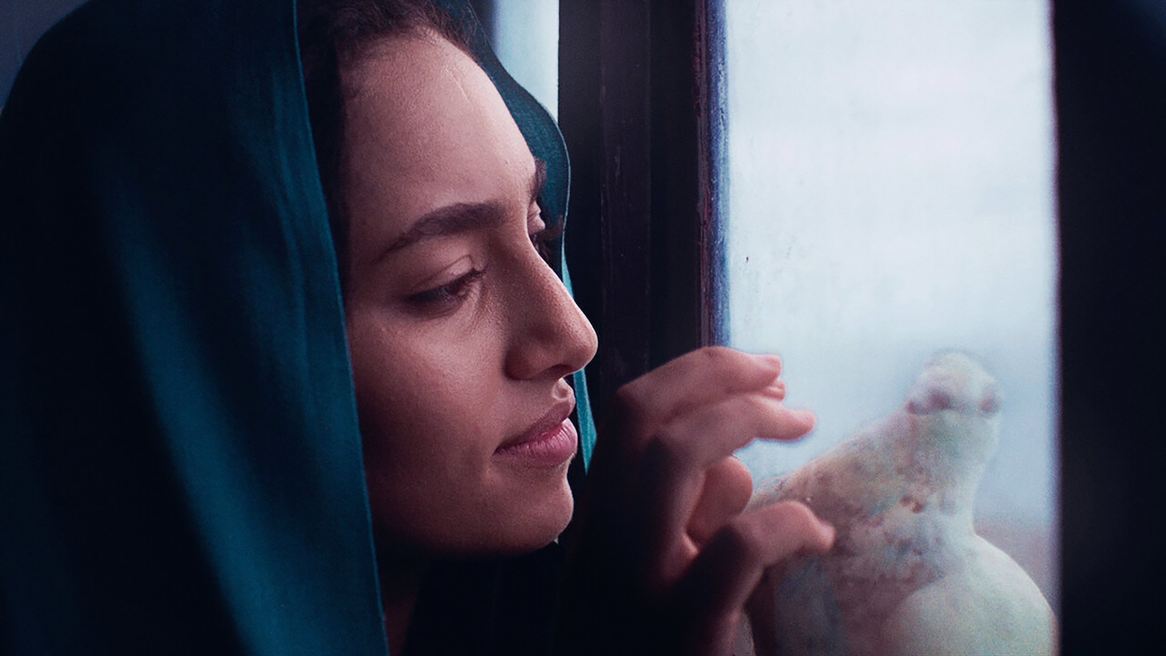 Backdrop for Apatride