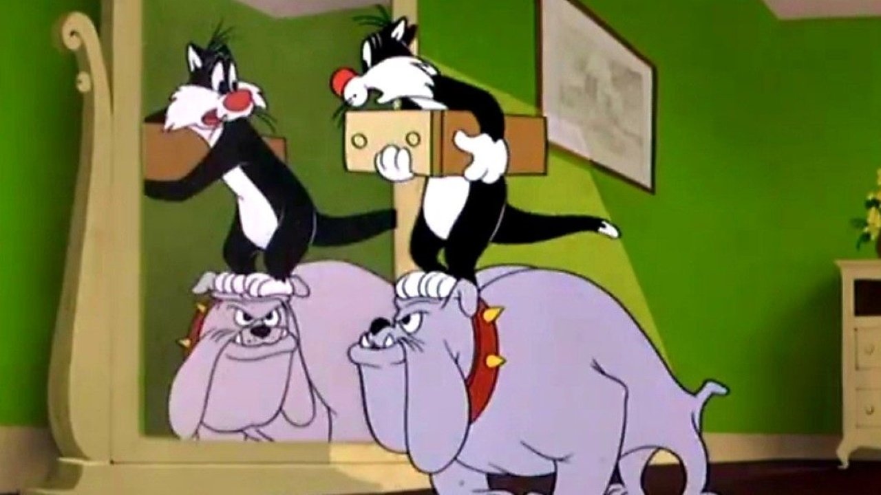 Backdrop for Room and Bird