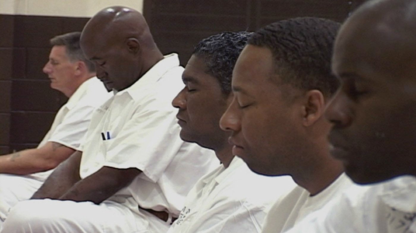 Backdrop for The Dhamma Brothers