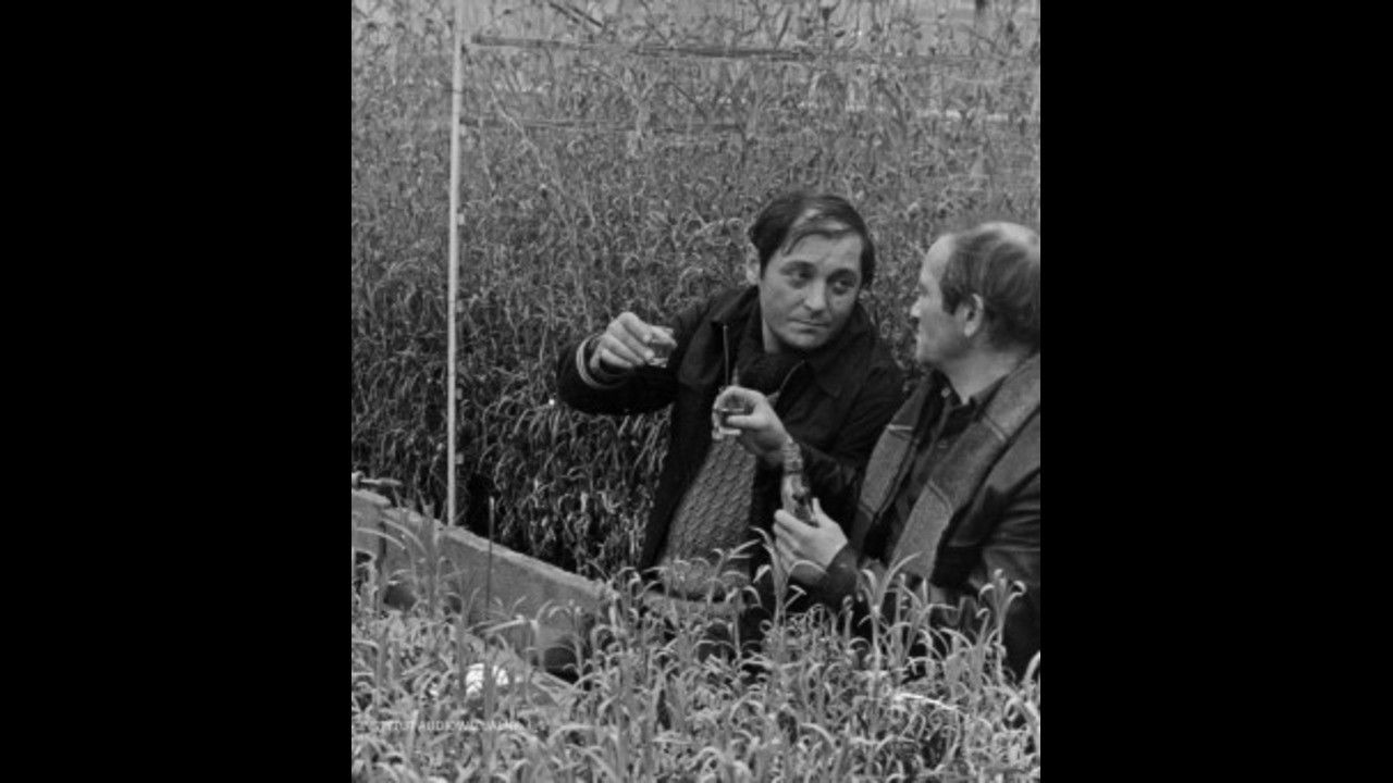 Backdrop for Siedem czerwonych róż, czyli Benek kwiaciarz o sobie i o innych