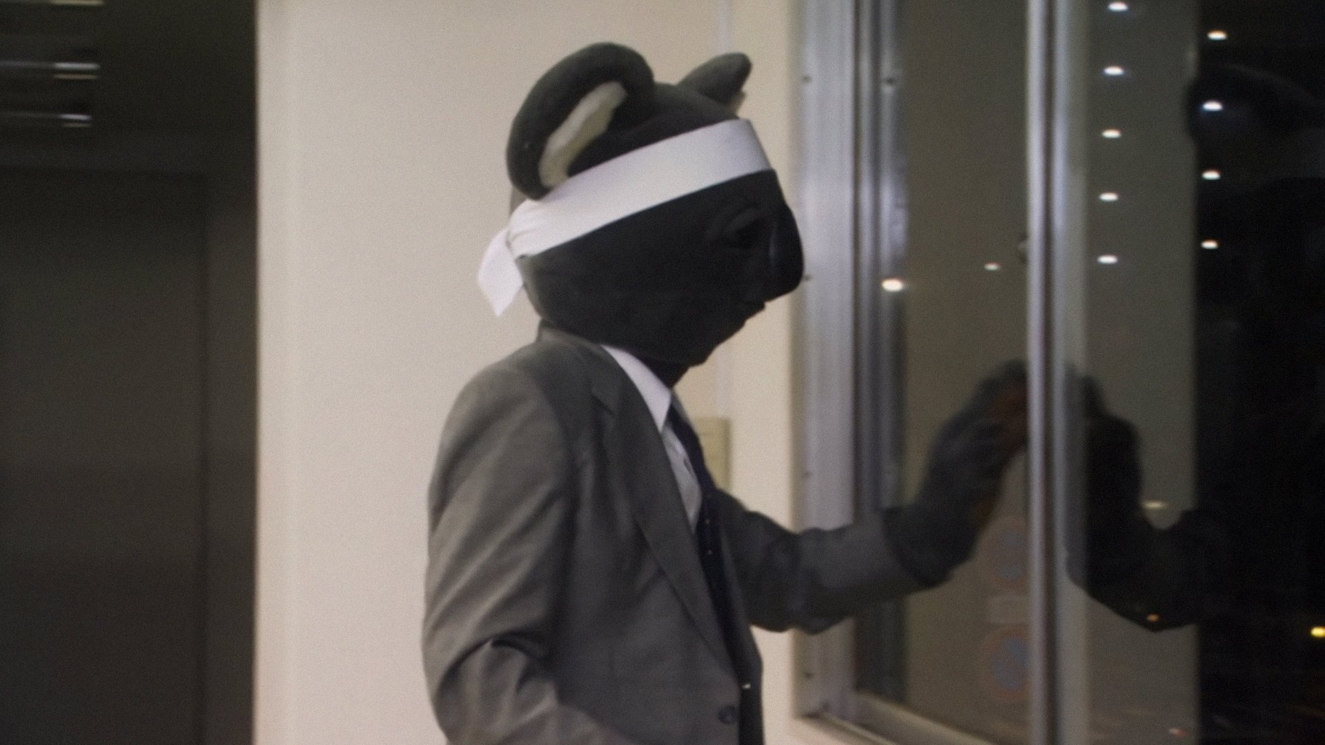 Backdrop for Executive Koala