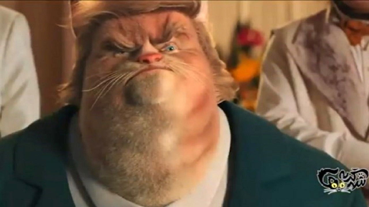 Backdrop for City of Cats