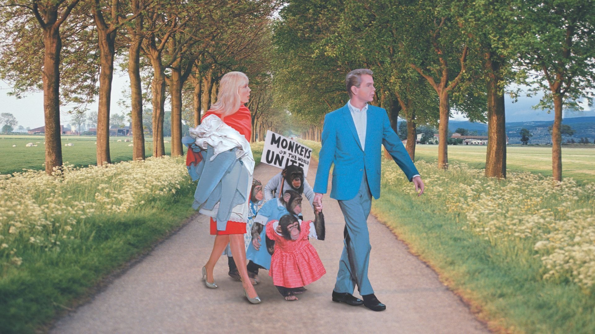 Backdrop for Monkeys, Go Home!