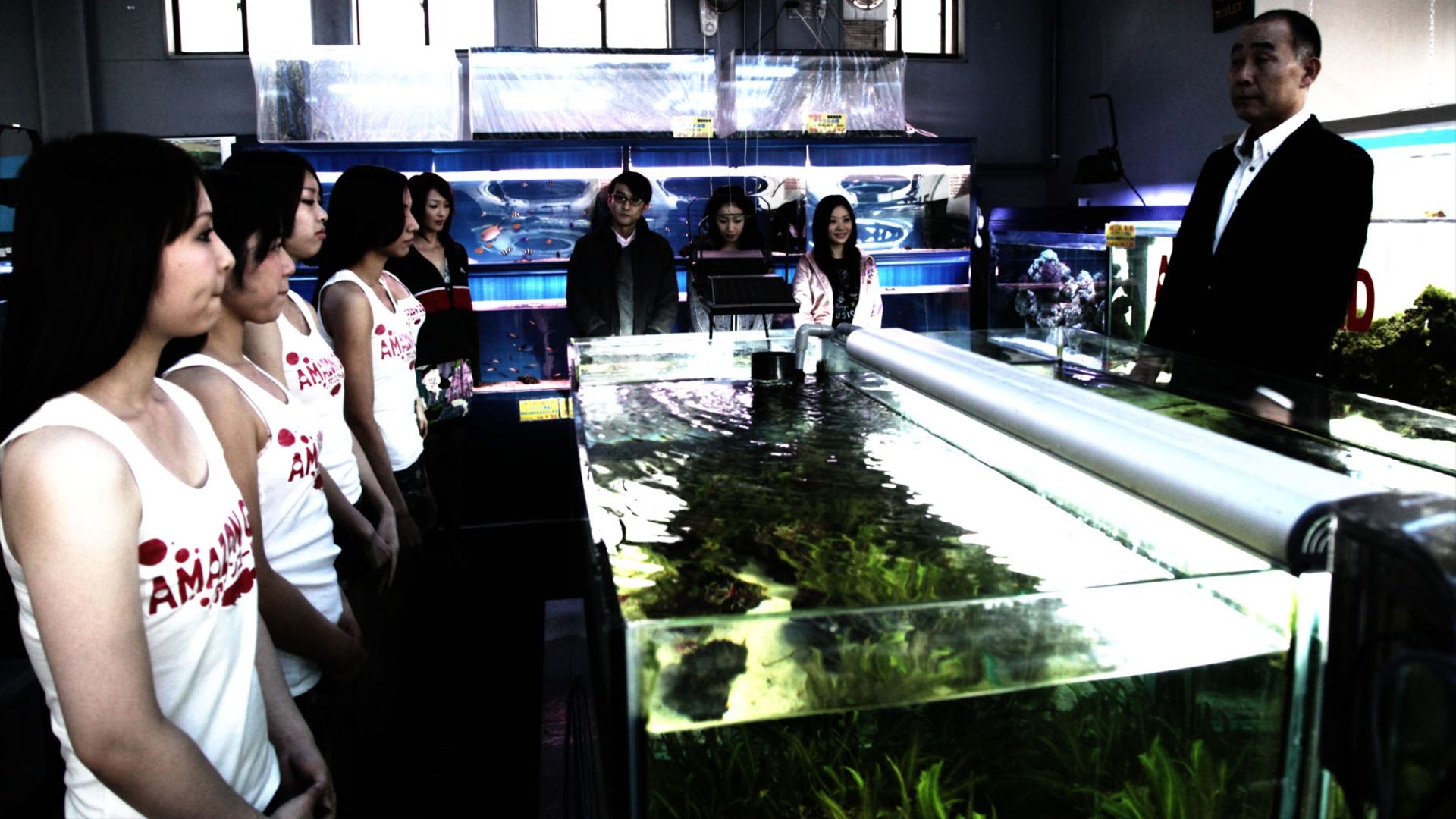 Backdrop for Cold Fish