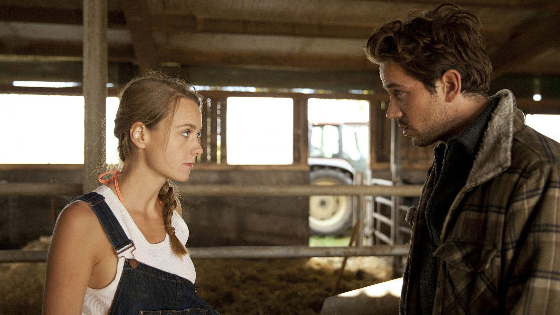 Backdrop for Die Büffel sind los!