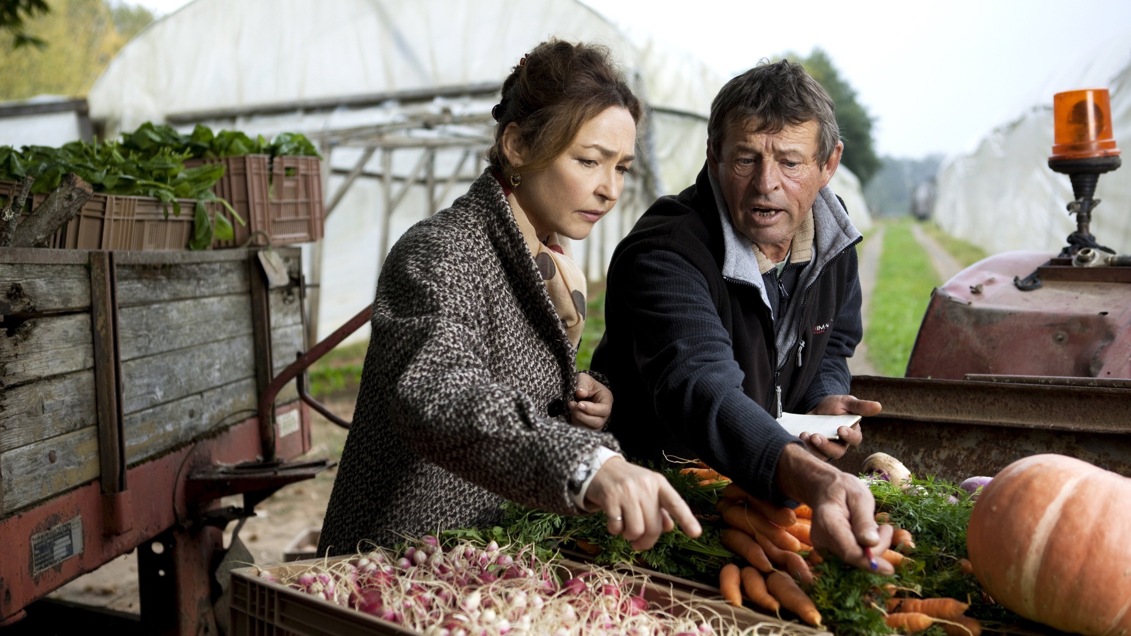 Backdrop for Haute Cuisine