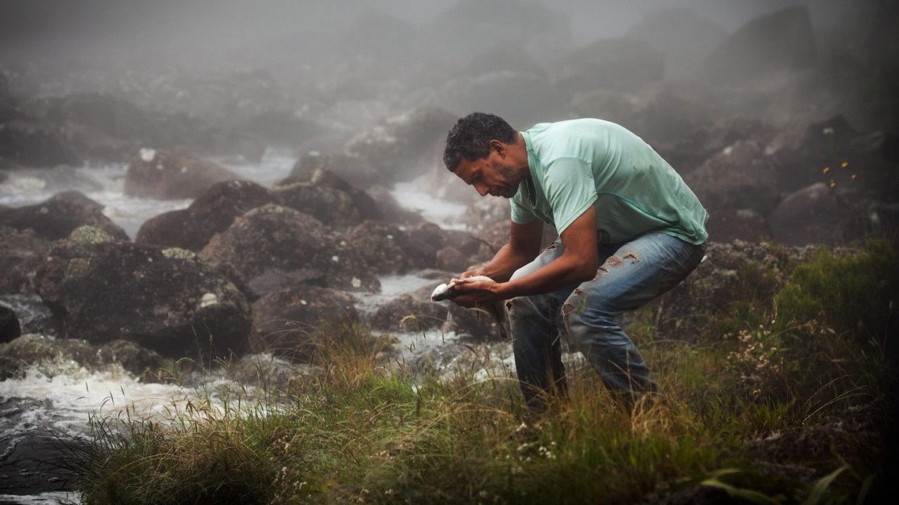 Backdrop for Signature