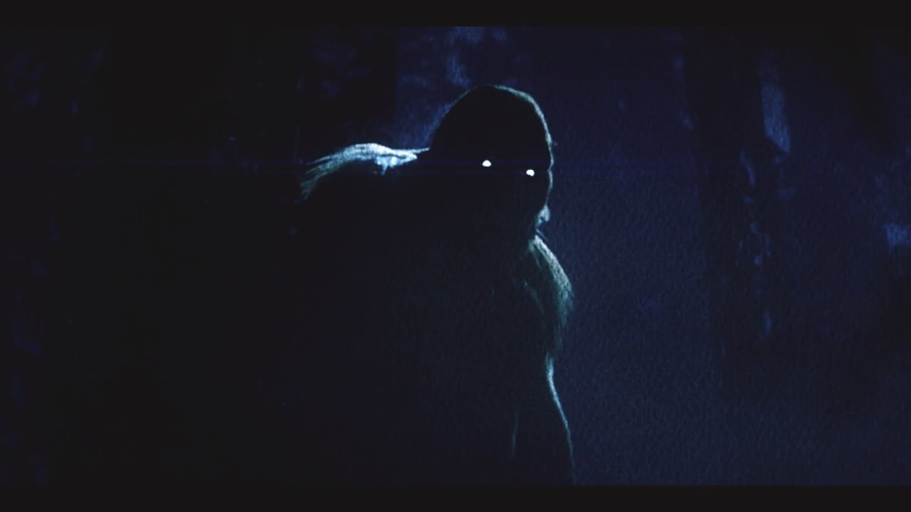 Backdrop for On the Trail of Bigfoot:  Land of the Missing