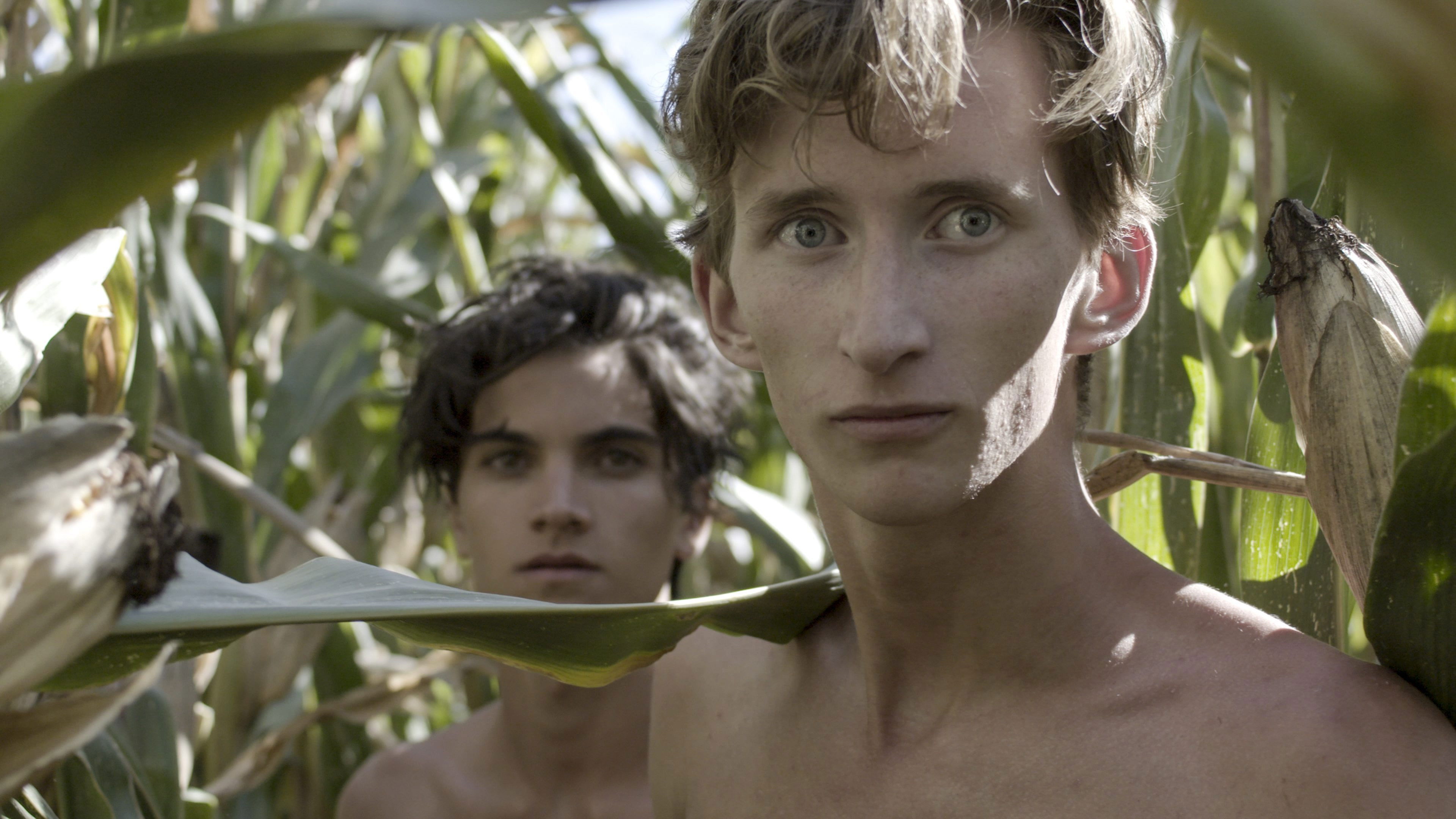 Backdrop for In a Future April: The Young Pasolini