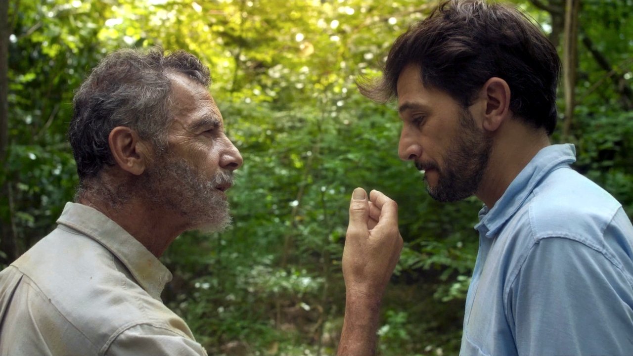 Backdrop for The Bush