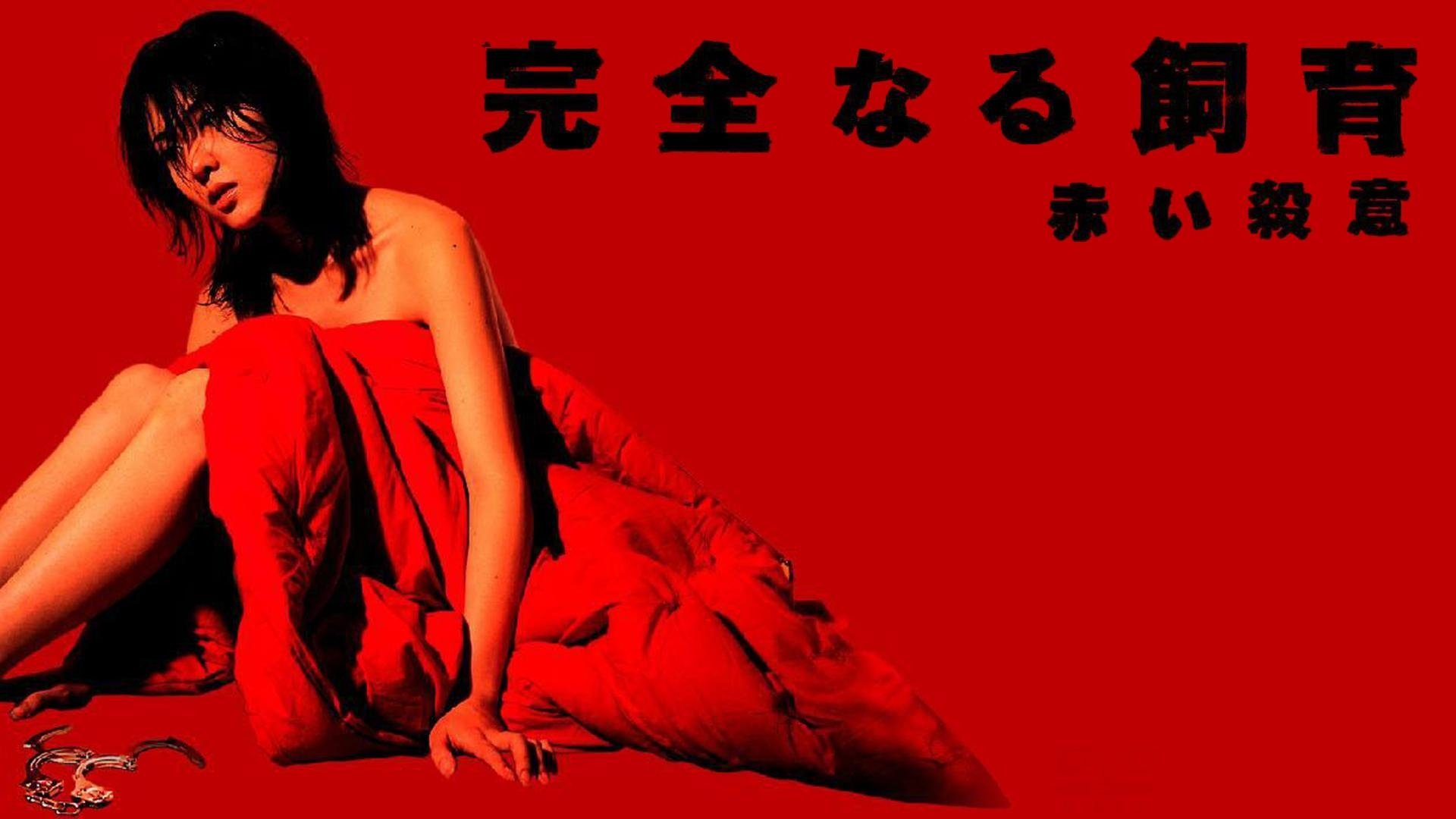 Backdrop for Perfect Education 6