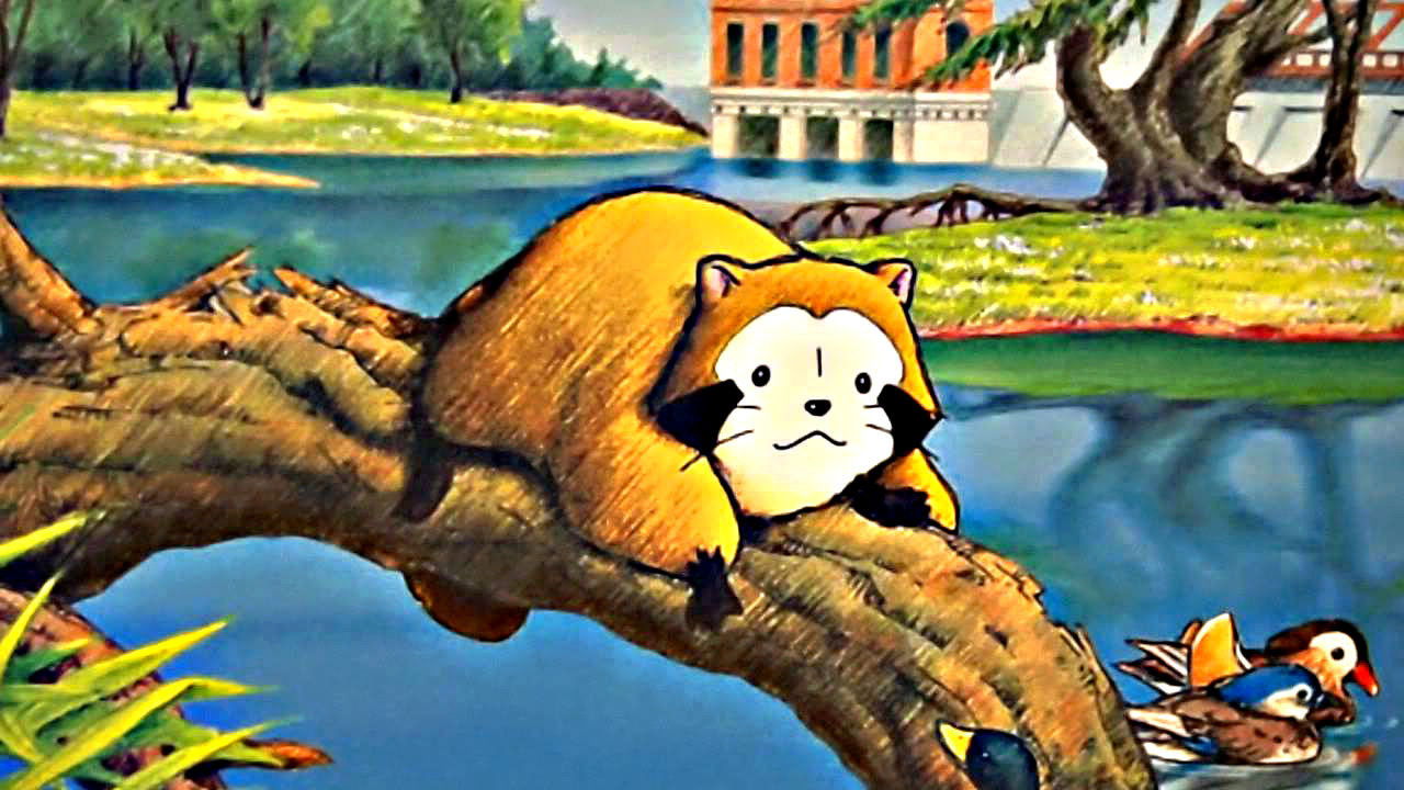 Backdrop for Rascal the Raccoon