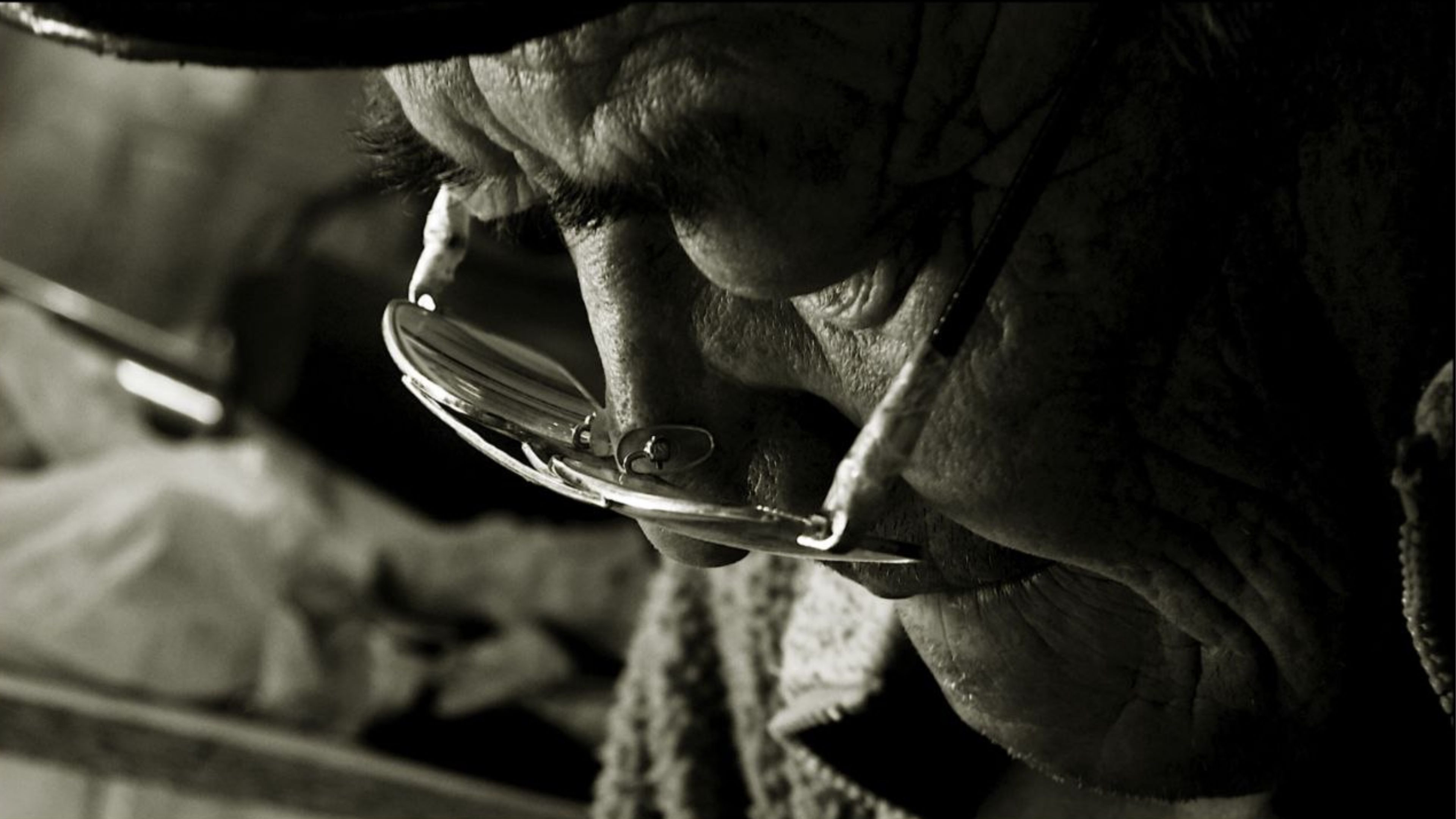 Backdrop for In The Workshop