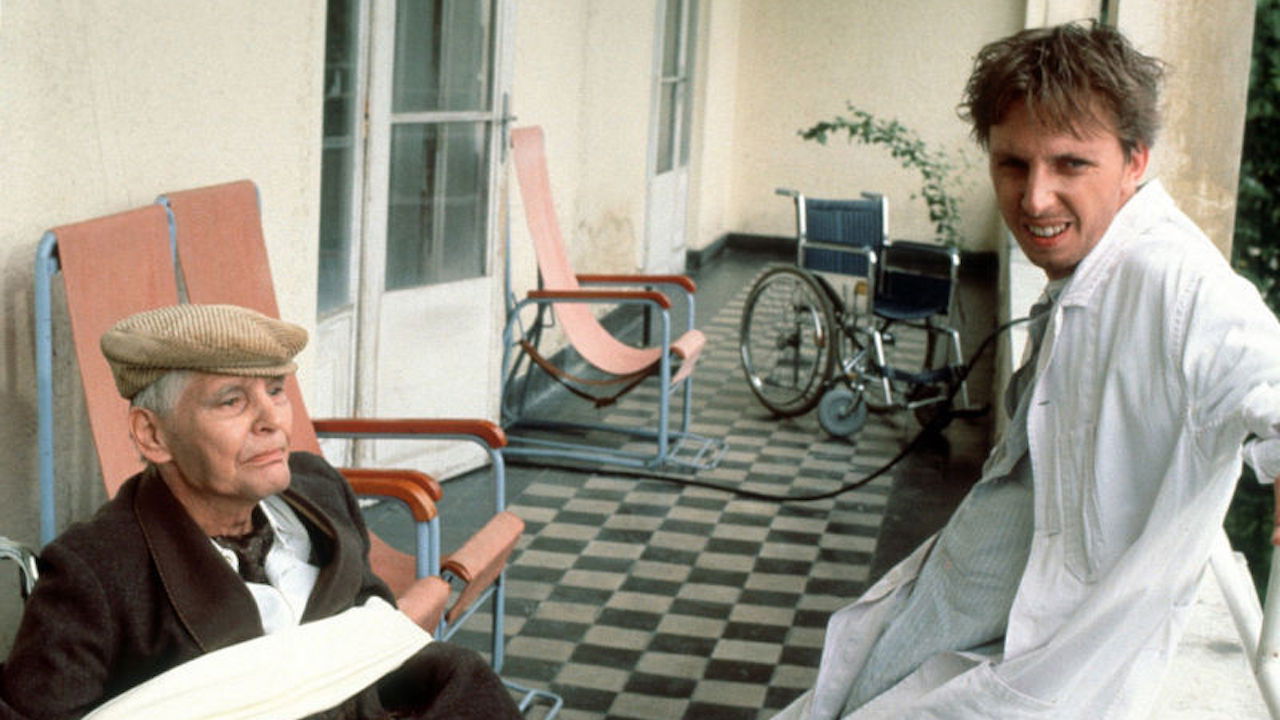 Backdrop for Shalom, general