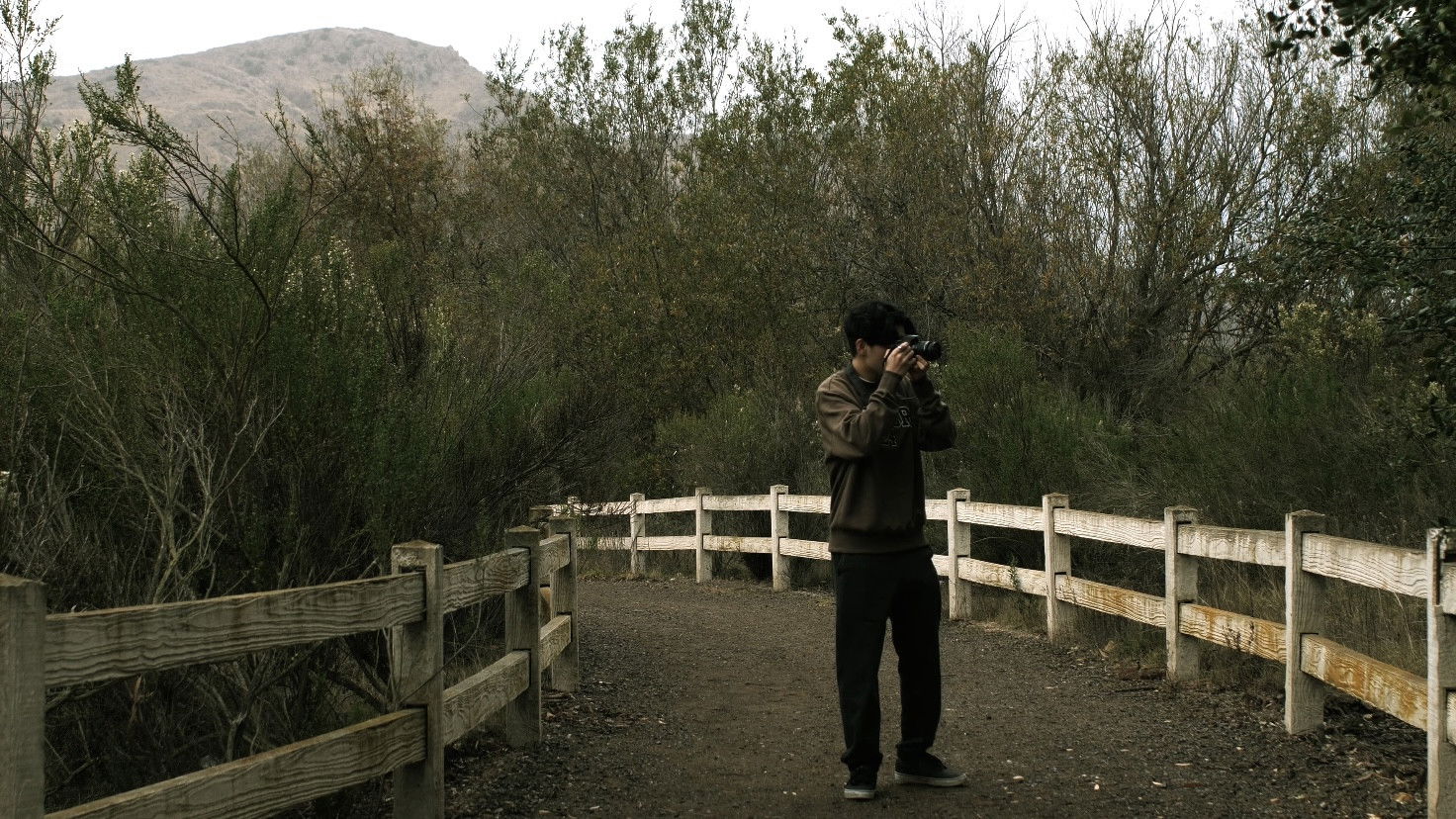 Backdrop for The Certain Image