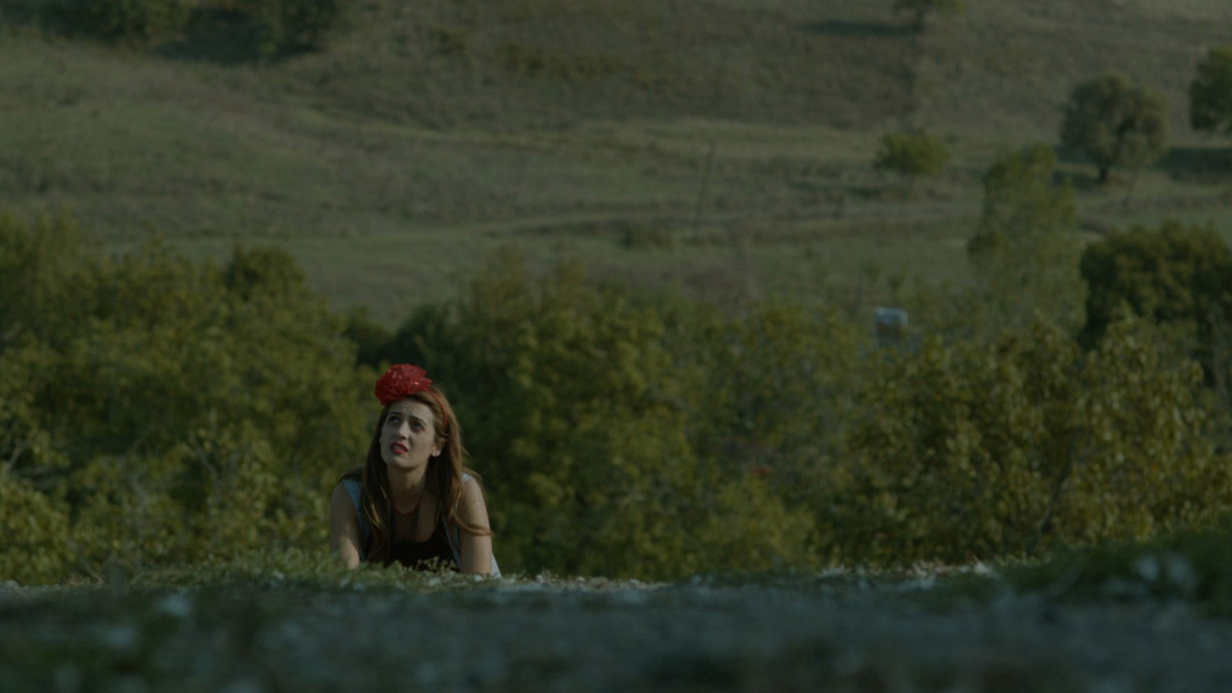 Backdrop for The Seagull