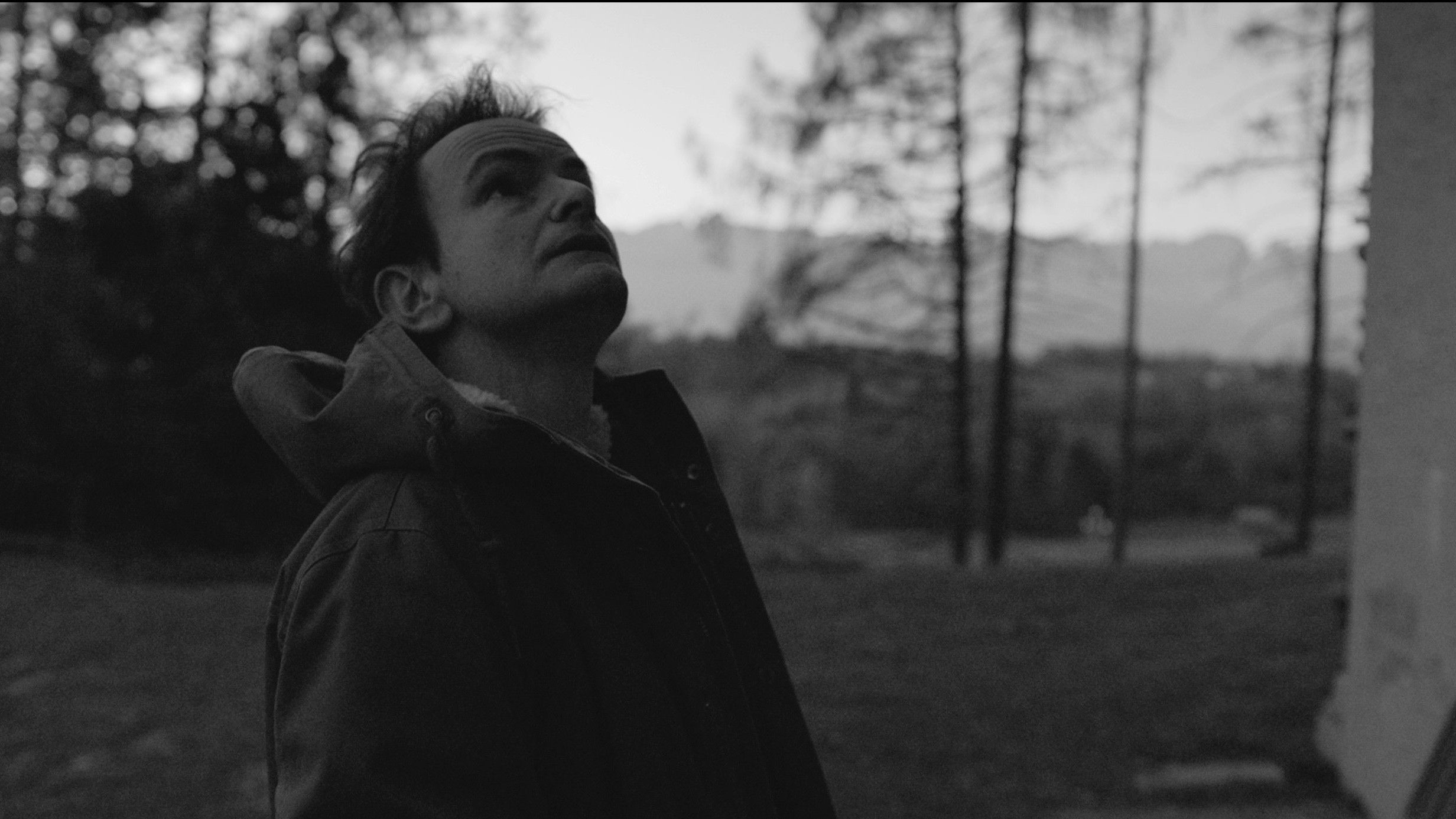 Backdrop for Other Cannibals