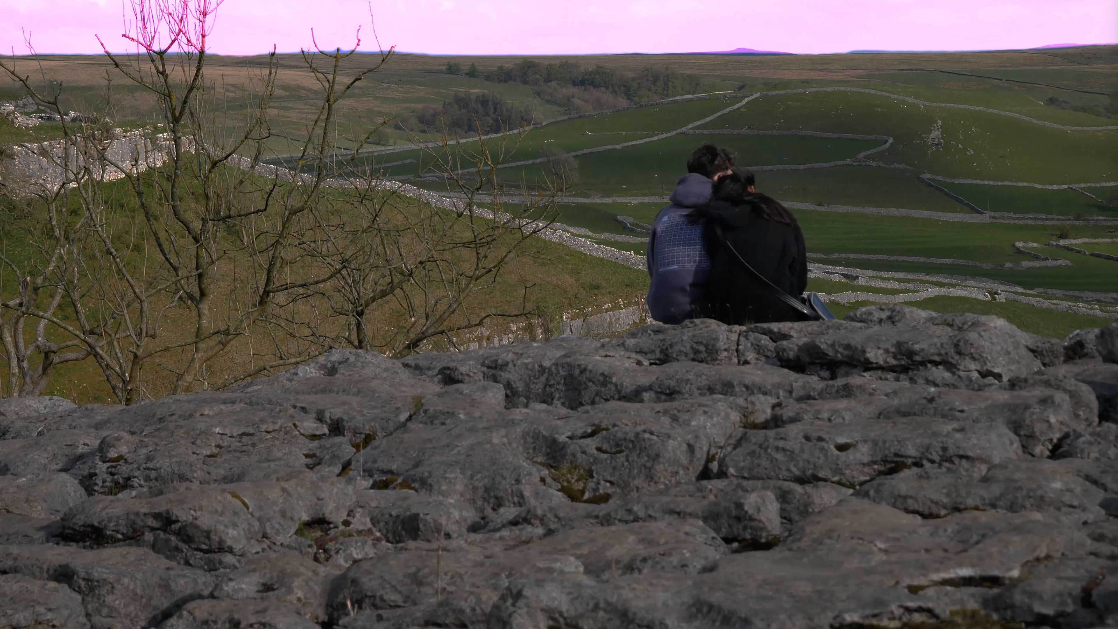 Backdrop for Desolation