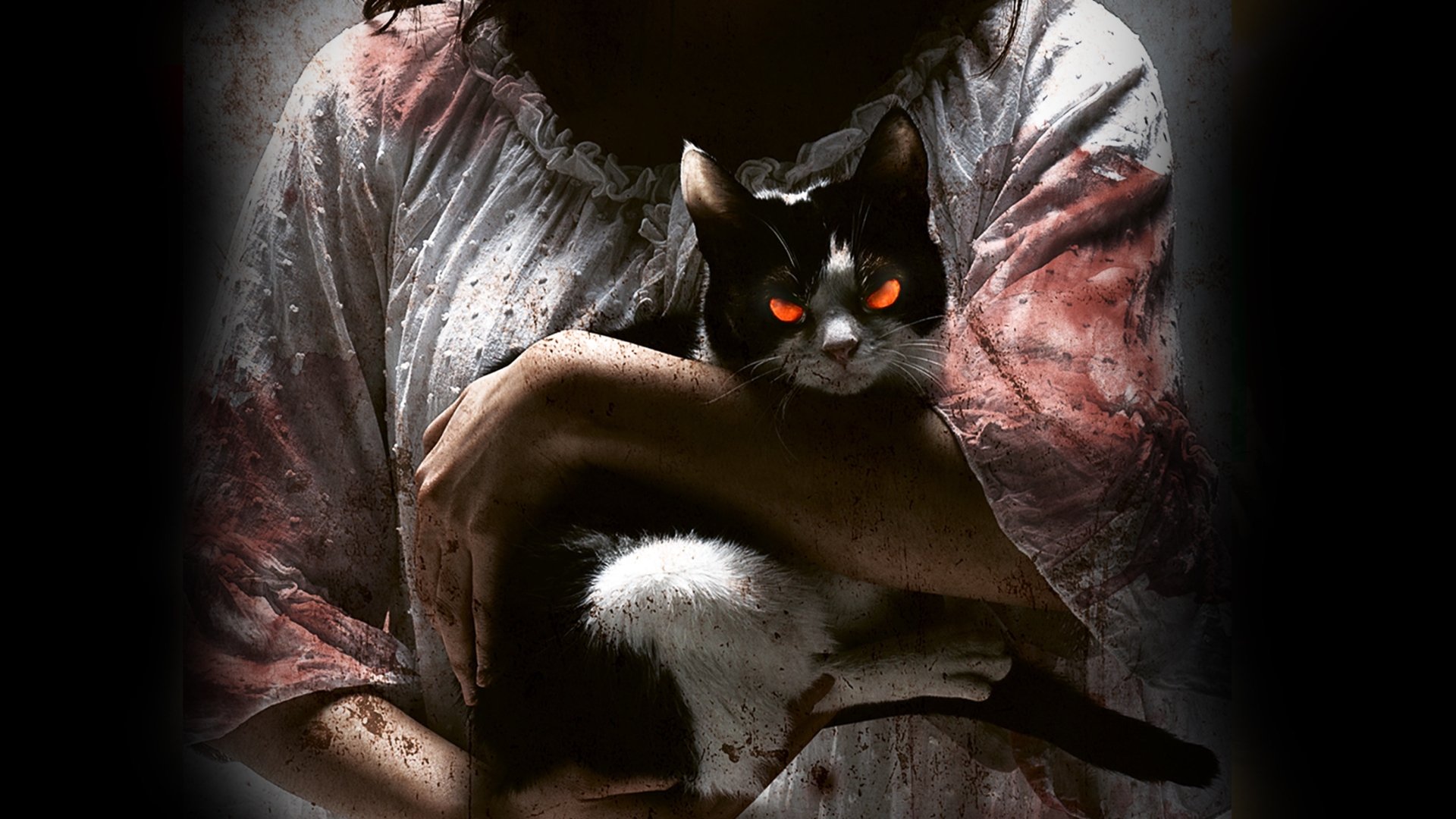 Backdrop for The Cat