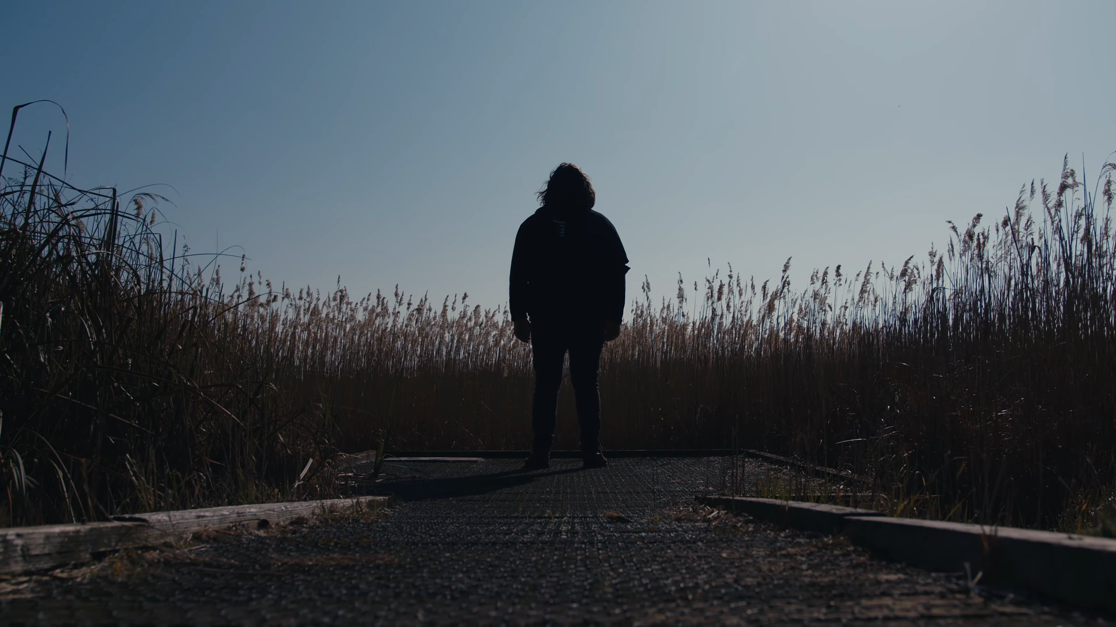 Backdrop for The Caricature: Requiem