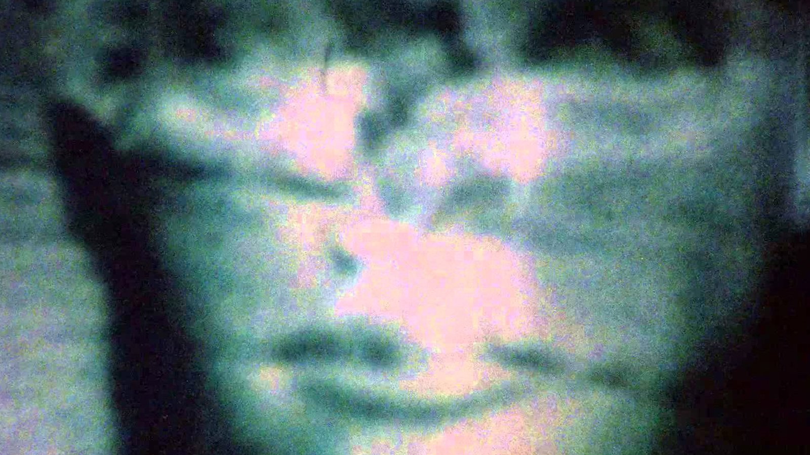 Backdrop for Riddles of the Sphinx