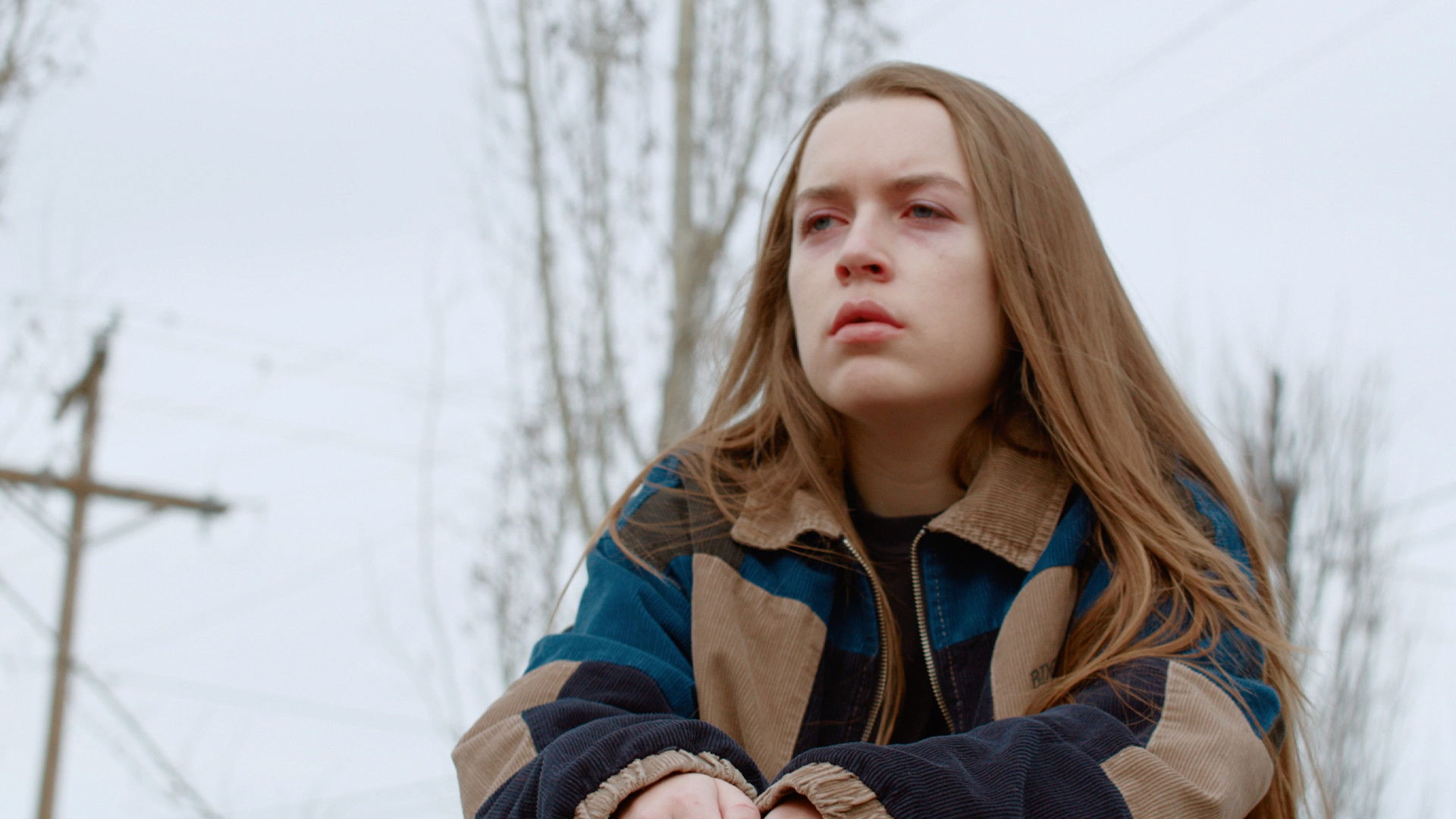 Backdrop for Lights in the Night